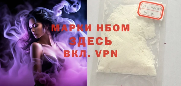 ПСИЛОЦИБИНОВЫЕ ГРИБЫ Арсеньев