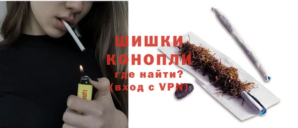 ПСИЛОЦИБИНОВЫЕ ГРИБЫ Арсеньев
