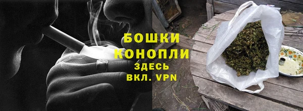 ПСИЛОЦИБИНОВЫЕ ГРИБЫ Арсеньев