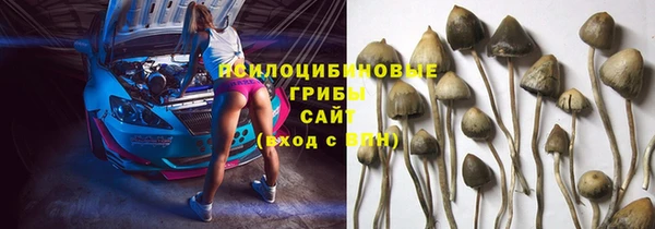 бутират Дмитровск