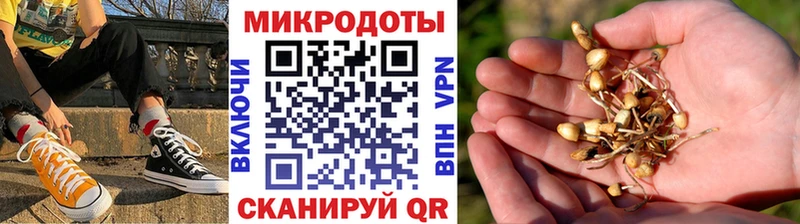 Галлюциногенные грибы прущие грибы  цена наркотик  Белая Холуница 